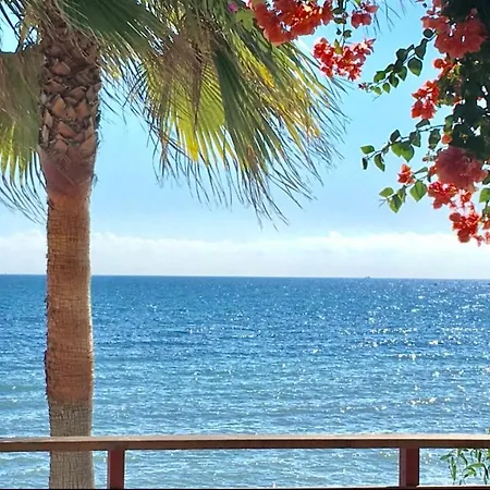 Apartment Mi Capricho 3-5 Beachfront- With Sea Views In Costa Del Sol *